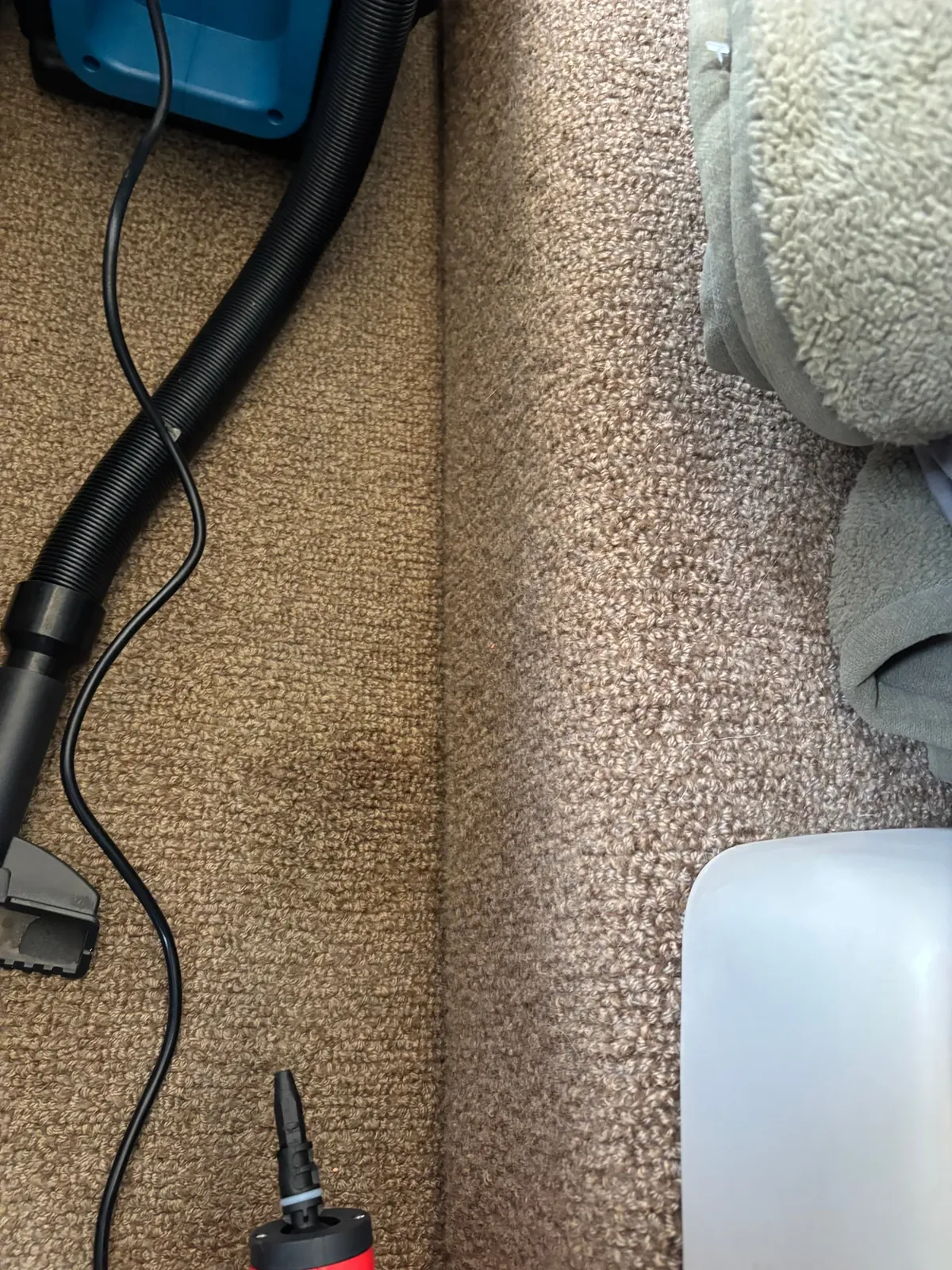 Aircraft carpet care in progress
